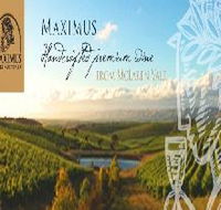 Maximus Wines Australia - Accommodation Sunshine Coast
