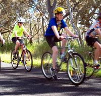 Penola Cycling Trails - Accommodation Sunshine Coast