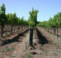 Temple Bruer Winery - Accommodation Sunshine Coast