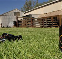 Wilkadene Woolshed Brewery - Accommodation Sunshine Coast