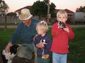 Orrie Cowie Merino And Poll Merino Stud - Accommodation Sunshine Coast 0