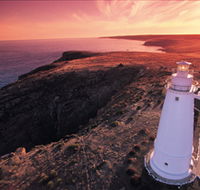 Lashmar Conservation Park - Accommodation Sunshine Coast