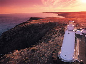 Lashmar Conservation Park - Accommodation Sunshine Coast 0