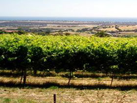  Accommodation Sunshine Coast