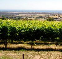 Braydun Hill Vineyard - Accommodation Sunshine Coast