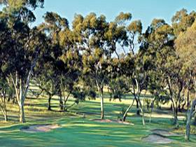 Tanunda Pines Golf Club - Accommodation Sunshine Coast 0