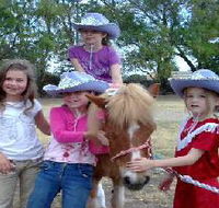 Amberainbow Pony Rides - Accommodation Sunshine Coast