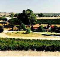 Irvine Wines - Accommodation Sunshine Coast