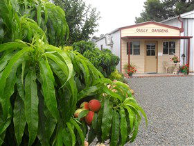 Gully Gardens - Accommodation Sunshine Coast 0