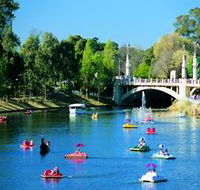 Captain Jolleys Paddle Boats - Accommodation Sunshine Coast