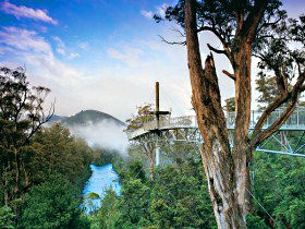 Tahune Adventures Tasmania - Accommodation Sunshine Coast 0
