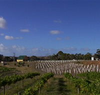 Deep Creek Wines and Alpacas - Accommodation Sunshine Coast