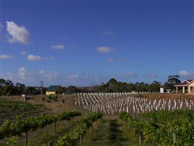 Deep Creek Wines And Alpacas - Accommodation Sunshine Coast 0