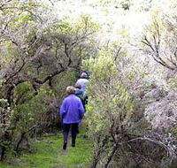 Jack And Hilda McArthur Walk - Accommodation Sunshine Coast