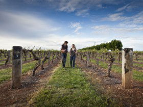 Coonawarra Wineries Walking Trail - Accommodation Sunshine Coast 0