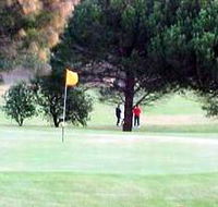 Meningie Lake Albert Golf Club - Accommodation Sunshine Coast