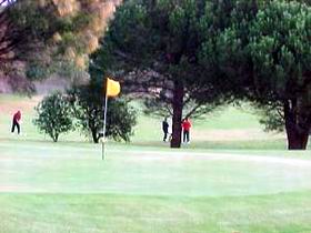 Meningie Lake Albert Golf Club - Accommodation Sunshine Coast 0