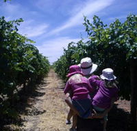 McLaren Vale Orchards - Accommodation Sunshine Coast