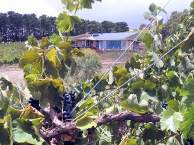 Willunga South SA Accommodation Sunshine Coast