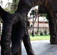 Old Gum Tree - Accommodation Sunshine Coast