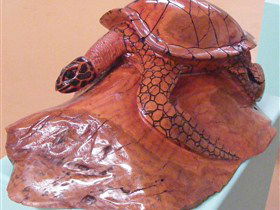 Ants Redgum Gallery - Accommodation Sunshine Coast 0