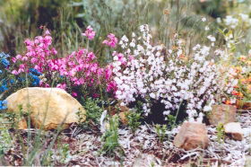 Stokes Bay Bush Garden - Accommodation Sunshine Coast 0