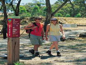 Riesling Trail - Accommodation Sunshine Coast 0