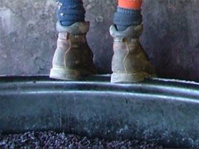 Fall From Grace - Accommodation Sunshine Coast 0