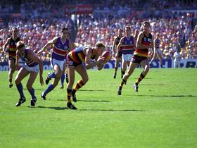 AAMI Stadium Tours - Accommodation Sunshine Coast 0