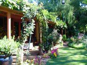 Rainforest Retreat - Accommodation Sunshine Coast 0