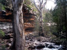 Mount Remarkable National Park - Accommodation Sunshine Coast 0