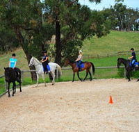 Megan Jones Riding School and Trail Rides - Accommodation Sunshine Coast