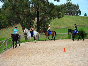Megan Jones Riding School And Trail Rides - Accommodation Sunshine Coast 0