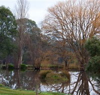 Gemtree Wetlands Ecotrail - Accommodation Sunshine Coast