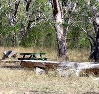 Penola Conservation Park - Accommodation Sunshine Coast