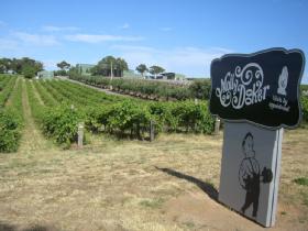 Mollydooker Wines - Accommodation Sunshine Coast 0
