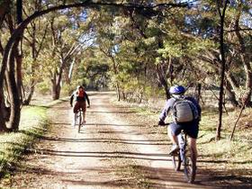Bike About Mountain Bike Tours And Hire - Accommodation Sunshine Coast 0