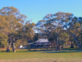 Wilpena Pound SA Accommodation Sunshine Coast