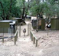 Humbug Scrub Wildlife Sanctuary - Accommodation Sunshine Coast