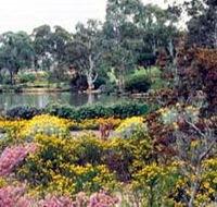 Wittunga Botanic Garden - Accommodation Sunshine Coast