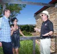 Shingleback Wine Cellar Door - Accommodation Sunshine Coast