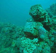 Adelaide's Underwater Heritage Trail - Accommodation Sunshine Coast