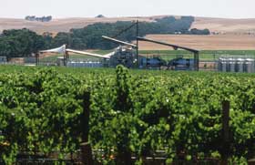 Kirrihill Wines - Accommodation Sunshine Coast 0