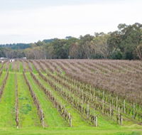Dennis Wines - Accommodation Sunshine Coast