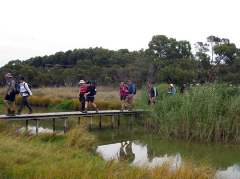 Lavender Federation Trail - Accommodation Sunshine Coast 1