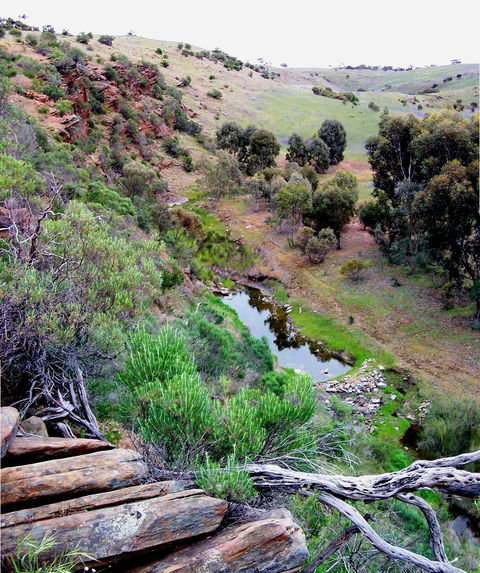 Lavender Federation Trail - Accommodation Sunshine Coast 3