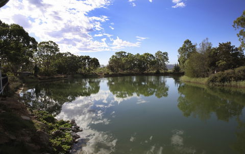 Maggie Beer's Farm Shop - Accommodation Sunshine Coast 6