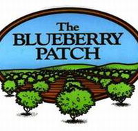 The Blueberry Patch - Accommodation Sunshine Coast