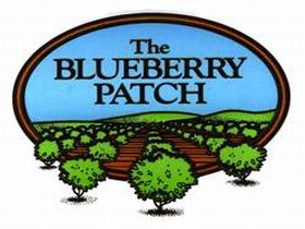 The Blueberry Patch - Accommodation Sunshine Coast 0