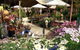 Serenity Nursery - thumb 0